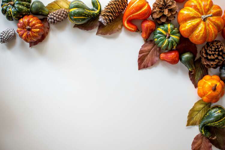 fall