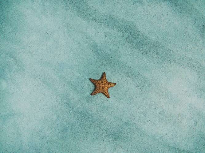 star